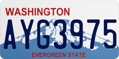 WA license plate AYG3975