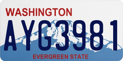 WA license plate AYG3981