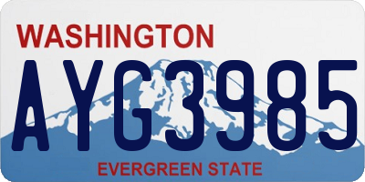 WA license plate AYG3985