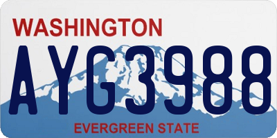 WA license plate AYG3988