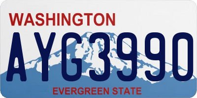WA license plate AYG3990