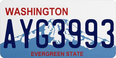 WA license plate AYG3993