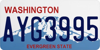 WA license plate AYG3995