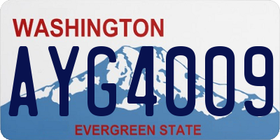 WA license plate AYG4009