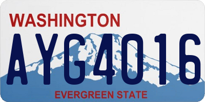WA license plate AYG4016
