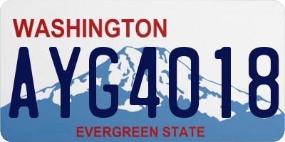 WA license plate AYG4018