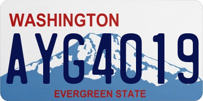 WA license plate AYG4019