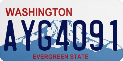 WA license plate AYG4091