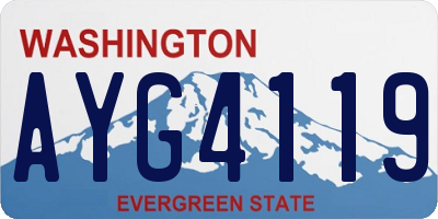 WA license plate AYG4119