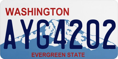 WA license plate AYG4202
