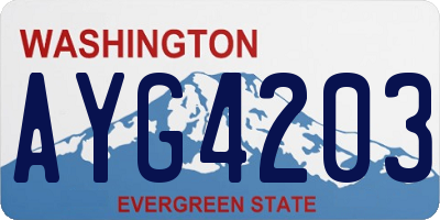 WA license plate AYG4203
