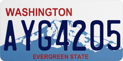 WA license plate AYG4205