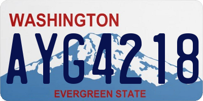 WA license plate AYG4218