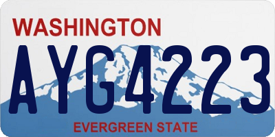 WA license plate AYG4223