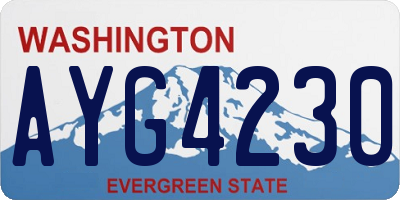 WA license plate AYG4230