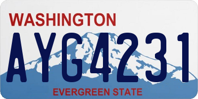 WA license plate AYG4231