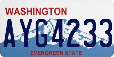 WA license plate AYG4233