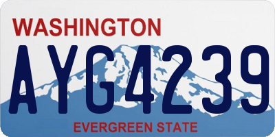 WA license plate AYG4239