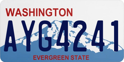 WA license plate AYG4241