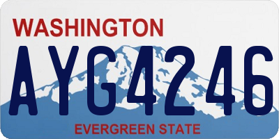 WA license plate AYG4246