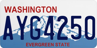 WA license plate AYG4250