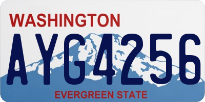WA license plate AYG4256
