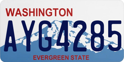 WA license plate AYG4285