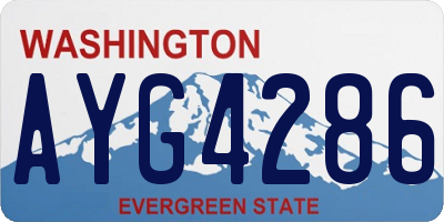 WA license plate AYG4286