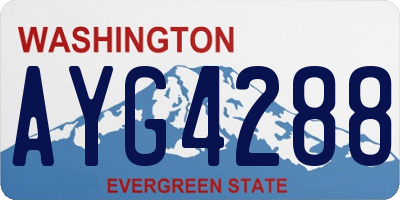 WA license plate AYG4288