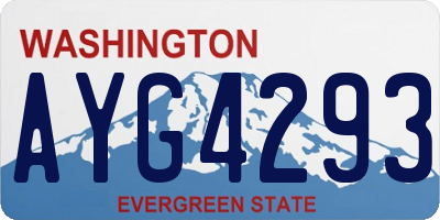 WA license plate AYG4293