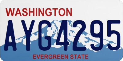 WA license plate AYG4295