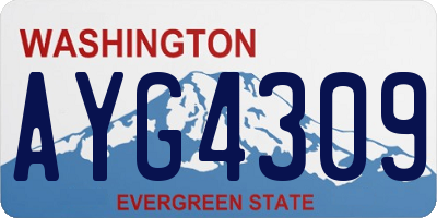 WA license plate AYG4309