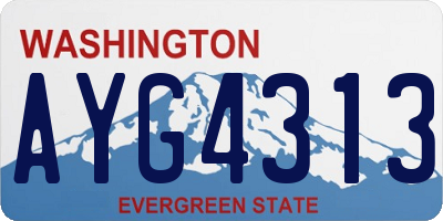 WA license plate AYG4313