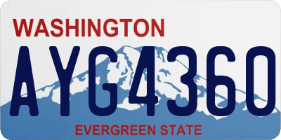 WA license plate AYG4360