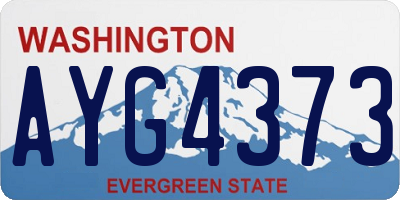 WA license plate AYG4373