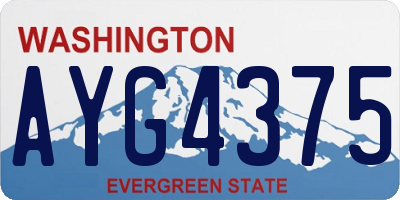 WA license plate AYG4375