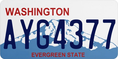 WA license plate AYG4377