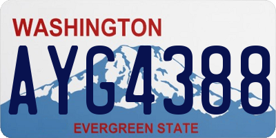 WA license plate AYG4388