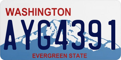 WA license plate AYG4391