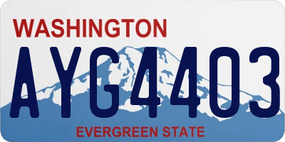 WA license plate AYG4403