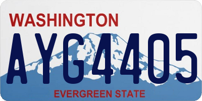 WA license plate AYG4405