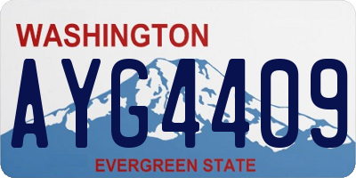 WA license plate AYG4409
