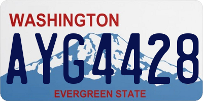 WA license plate AYG4428