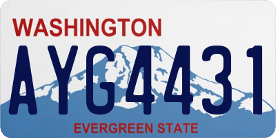 WA license plate AYG4431