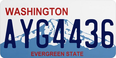 WA license plate AYG4436