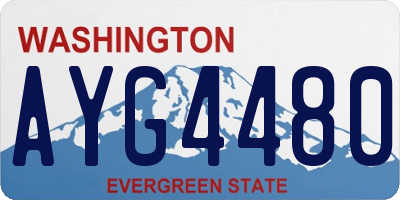WA license plate AYG4480