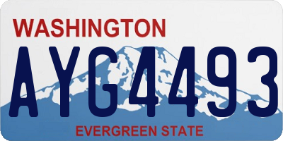 WA license plate AYG4493