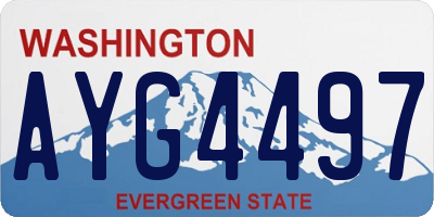 WA license plate AYG4497
