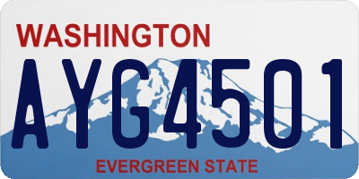 WA license plate AYG4501