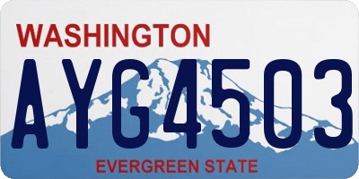 WA license plate AYG4503